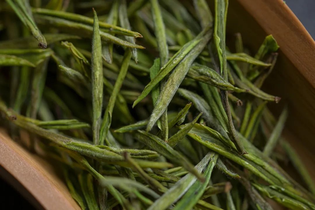 安吉白茶2024新茶高山白茶,2018年安吉明前白茶