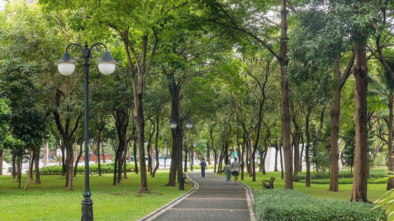 深圳花海景区推荐图片大全,深圳哪里有大片花海