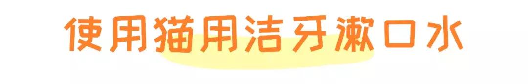 猫咪口臭去除神器,猫咪口炎