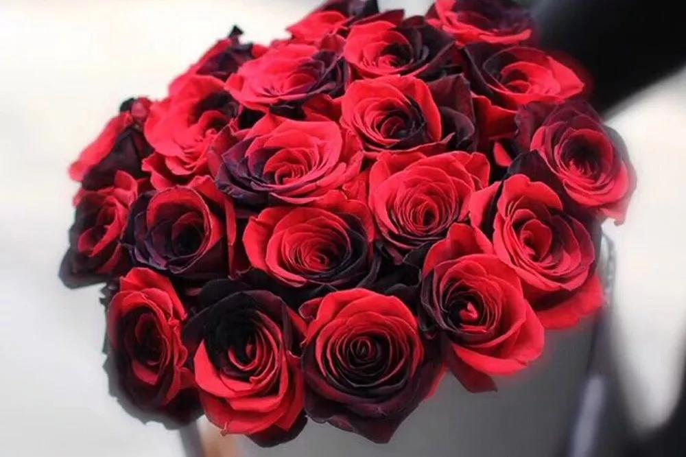 花店必备的5款玫瑰,花店最常用什么品种的玫瑰花