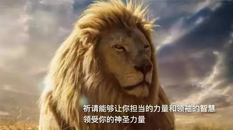 为什么买fof基金,现在fof值得买吗