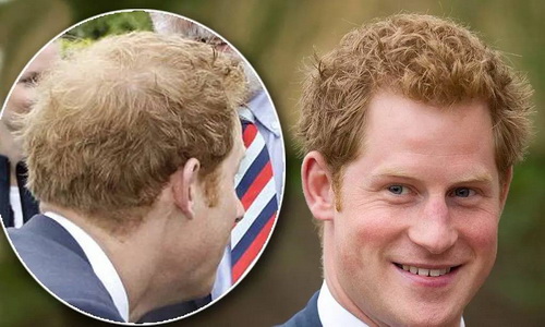 鑻卞浗璋㈤《,鑻卞浗鐜嬪瓙璋㈤《