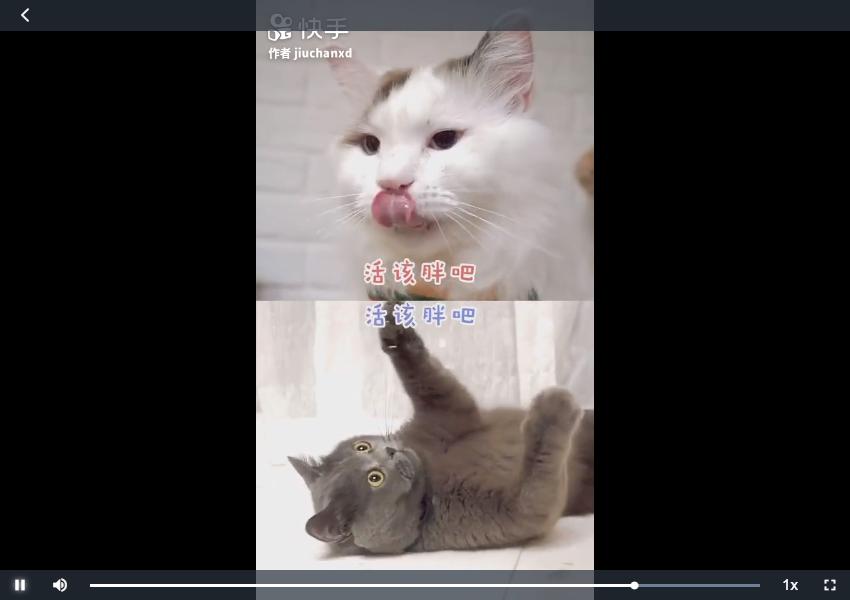 electronvue开发桌面应用,vue聊天室项目