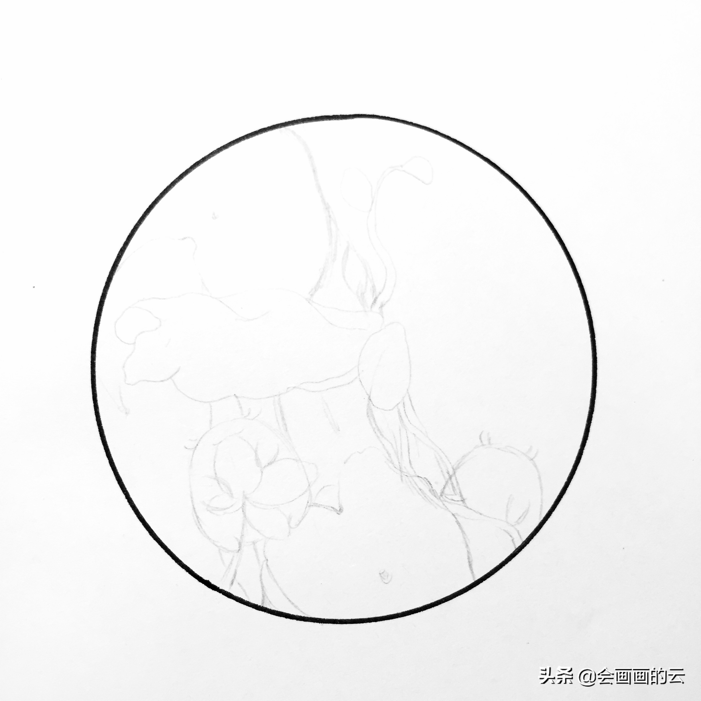 二次元简笔画教程新手入门必备,画画新手必练300图简笔画