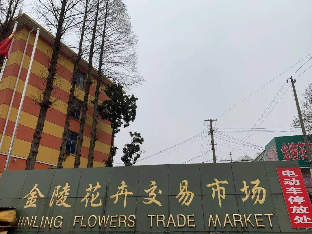 南京十大花鸟批发市场,南京最全的花卉市场