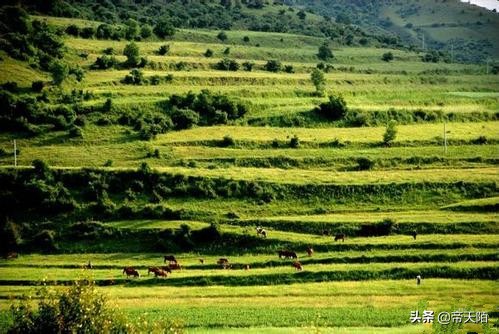 百家讲坛秦始皇千古一帝,秦始皇和千古一帝的故事