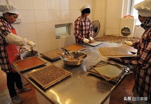 适合农村的家庭致富小项目盘点,农村适合做哪些创业小项目