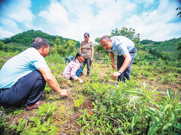 扶贫路上的他们,黔西南公安部扶贫项目