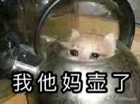 卫龙辣条火起来了 (卫龙辣条火了)