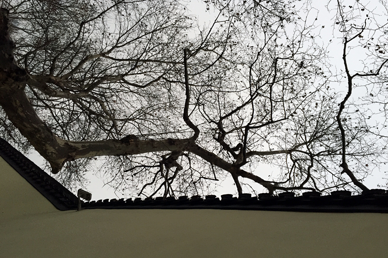 月下说金陵，晨起游南京