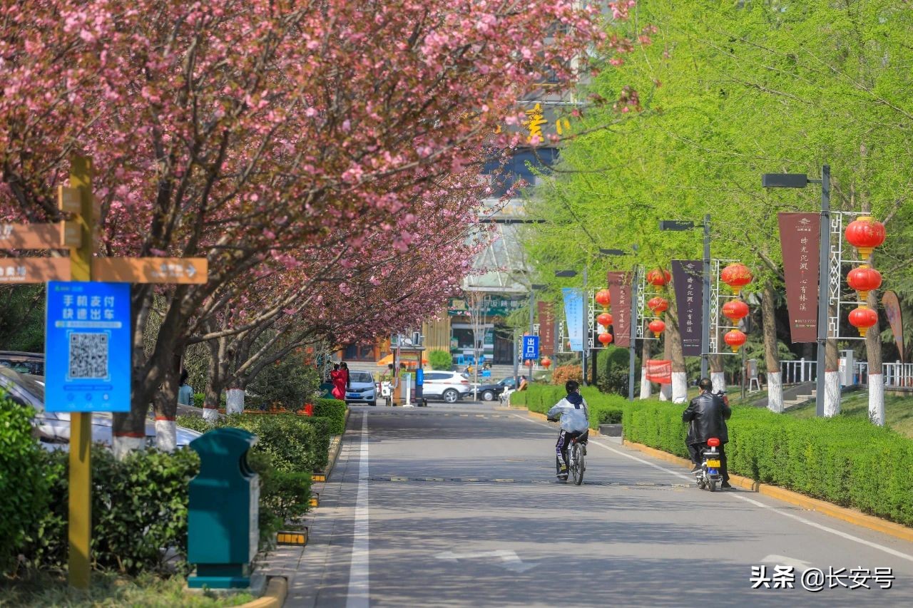 科技加持,城运公园大升级!你还不来打卡吗?