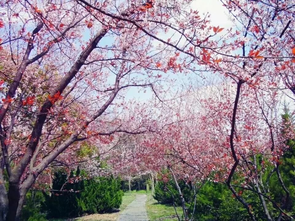 在上海一个月工资两万什么水平,月薪不过3万的看过来