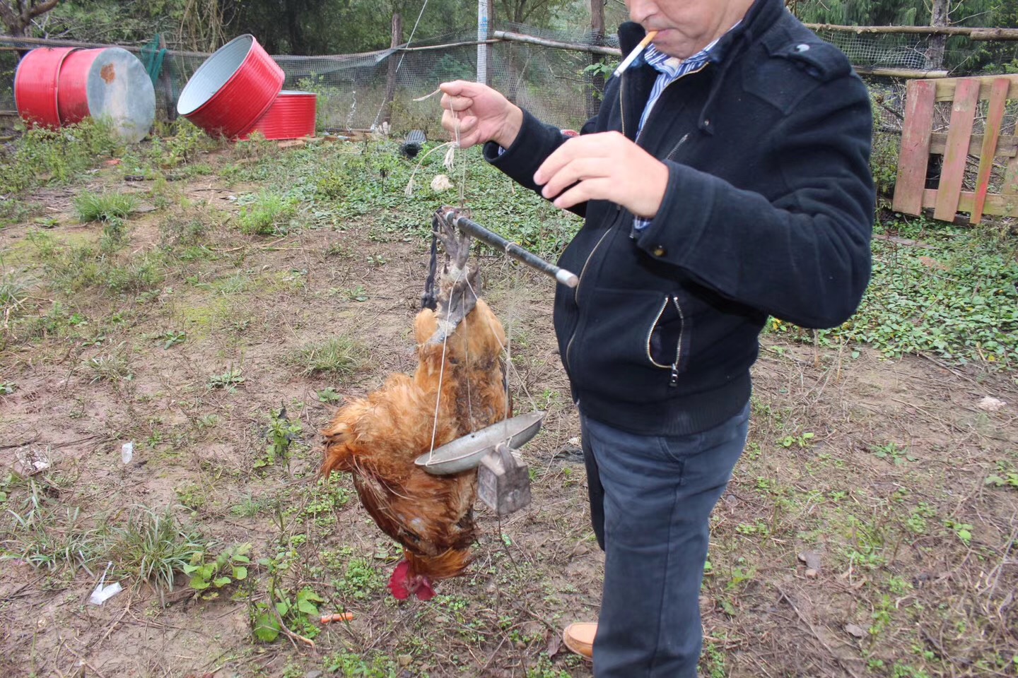 不起眼的农村小生意值得推荐,农村不起眼的暴利小生意