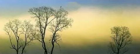 霜降橙红桔绿,霜降时节枫叶红