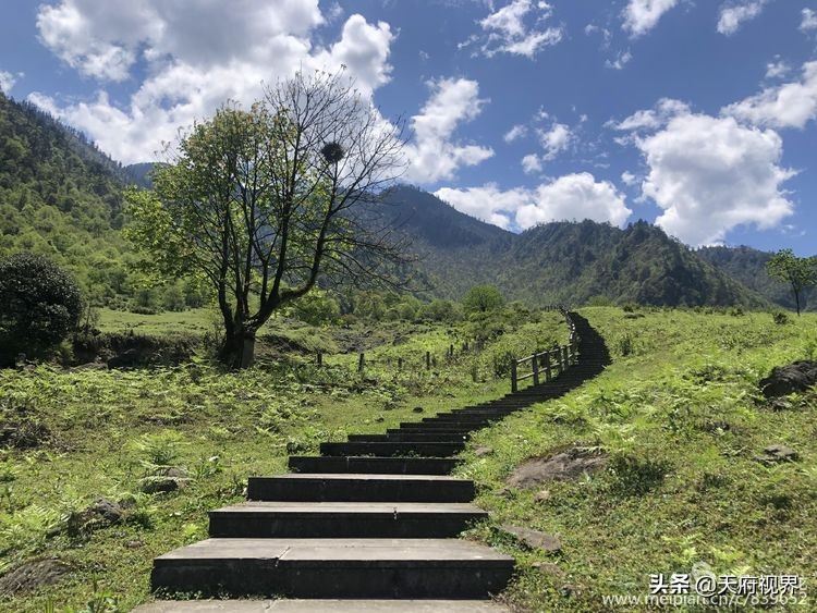 中国百慕大黑竹沟了解一下,穿越黑竹沟揭秘中国百慕大