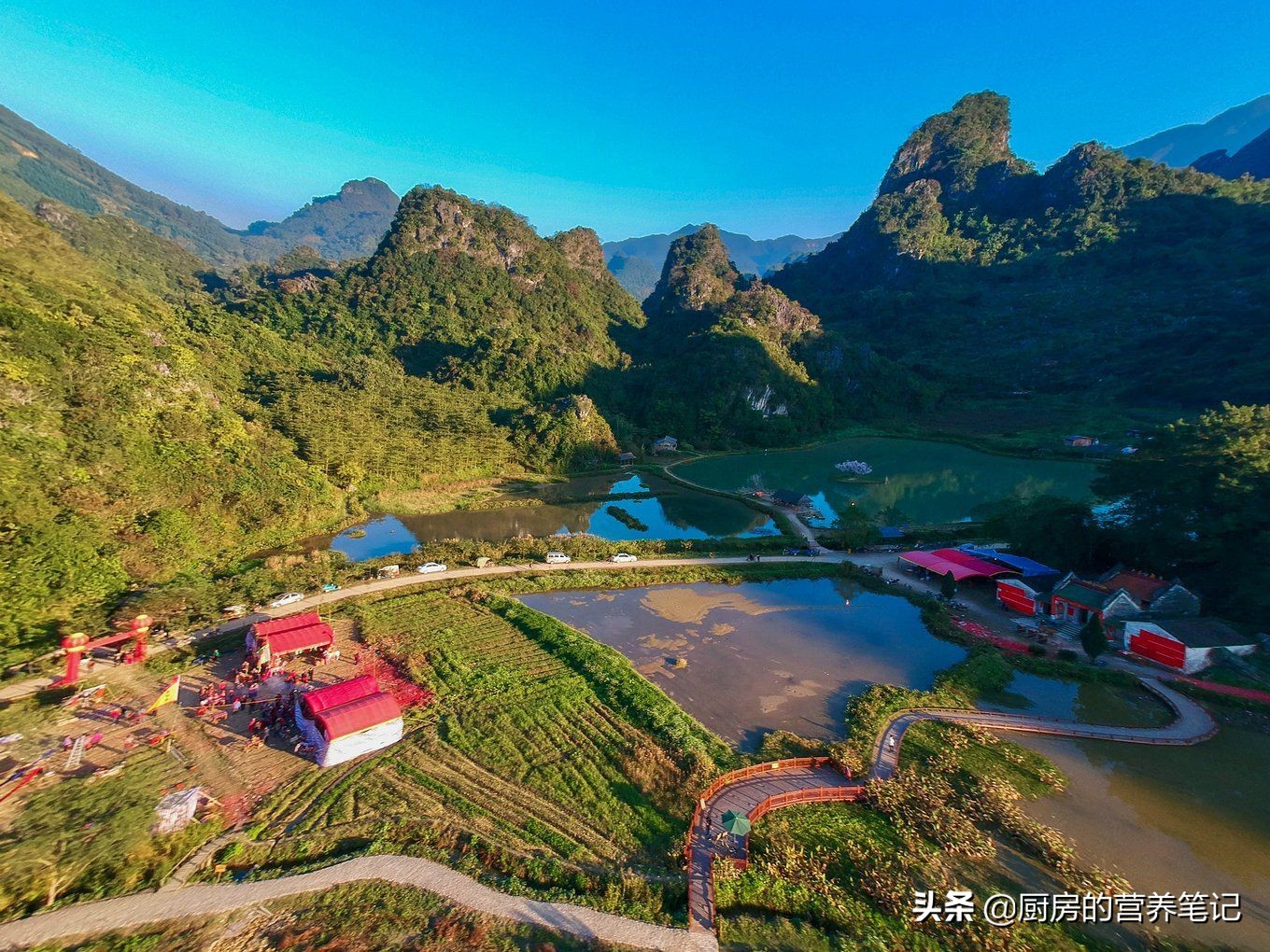 哪个省最爱吃鸡,广东被称为最会吃鸡的地方