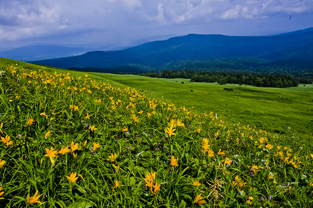 东北地区海拔最高的几座山峰,东北十大最高的山