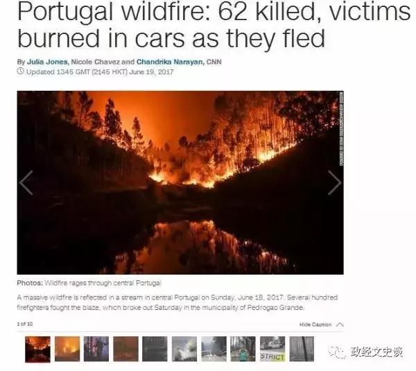 难灭的澳洲山火：桉树“点火”，猛禽“助燃”