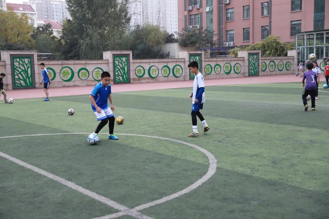 金水区文化绿城小学2018,五项管理中小学校具体如何落实