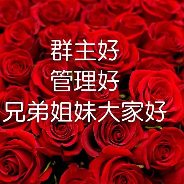 问好表情包｜我喜欢你，像日月轮流交替，不理朝夕