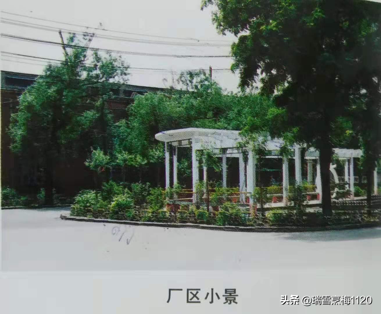 沈阳蓄电池厂老照片,沈阳汤浅电瓶有限公司