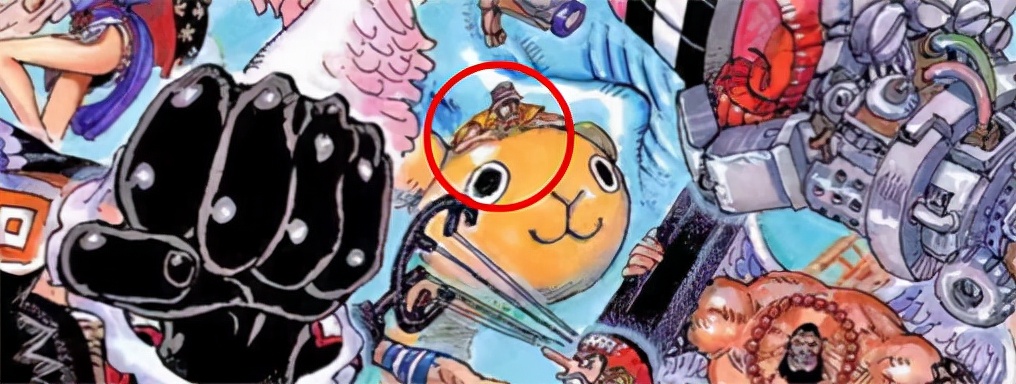 海贼王1025话,海贼王923话情报分析