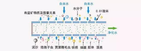 美的好还是道尔顿净水器好,ao史密斯净水器评价怎么样