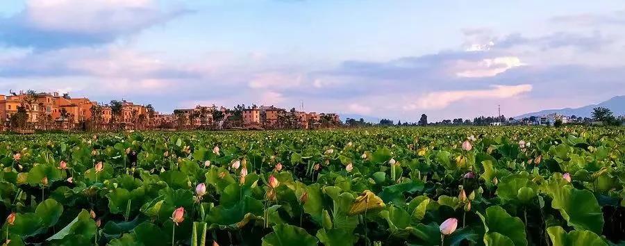 等一个人陪我去湛江,等一个人陪我去旅游