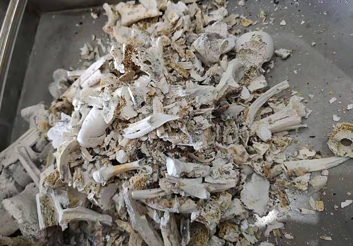 高温融化尸体会留下痕迹吗,高温下尸体会发生什么