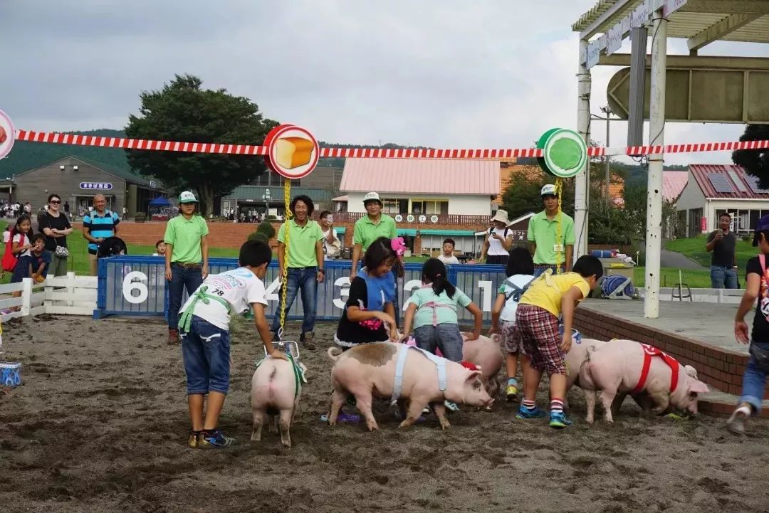 日本生态农业庄园,日本田园农场排行榜