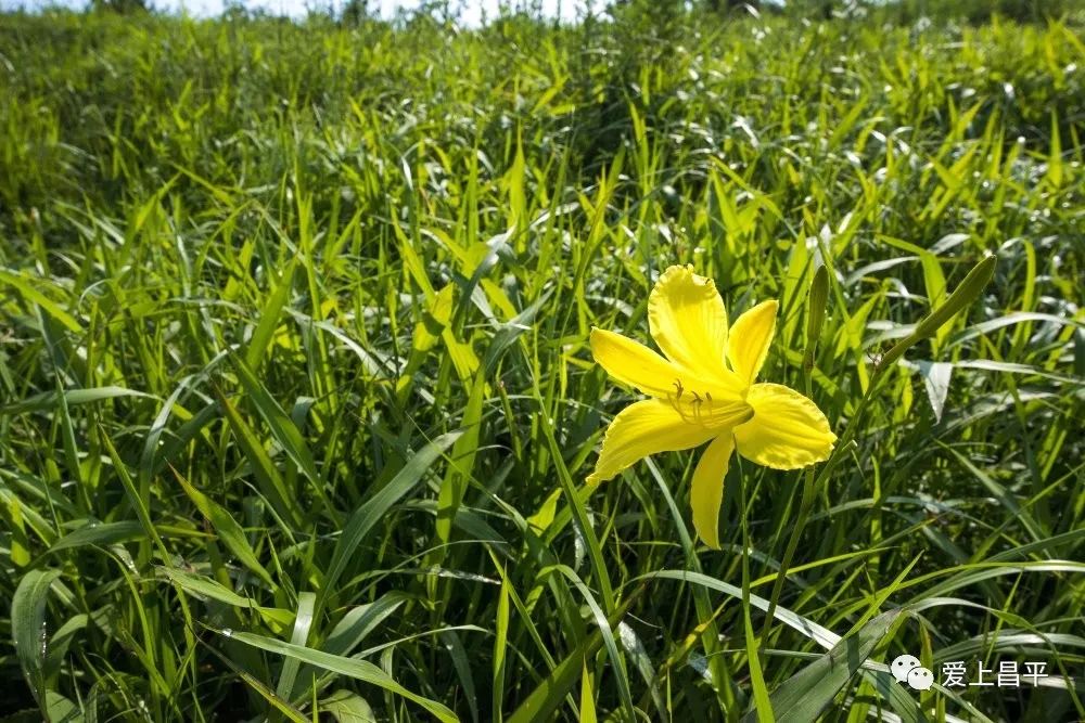 昌平游玩有山有水的地方推荐,昌平旅游攻略必去的地方