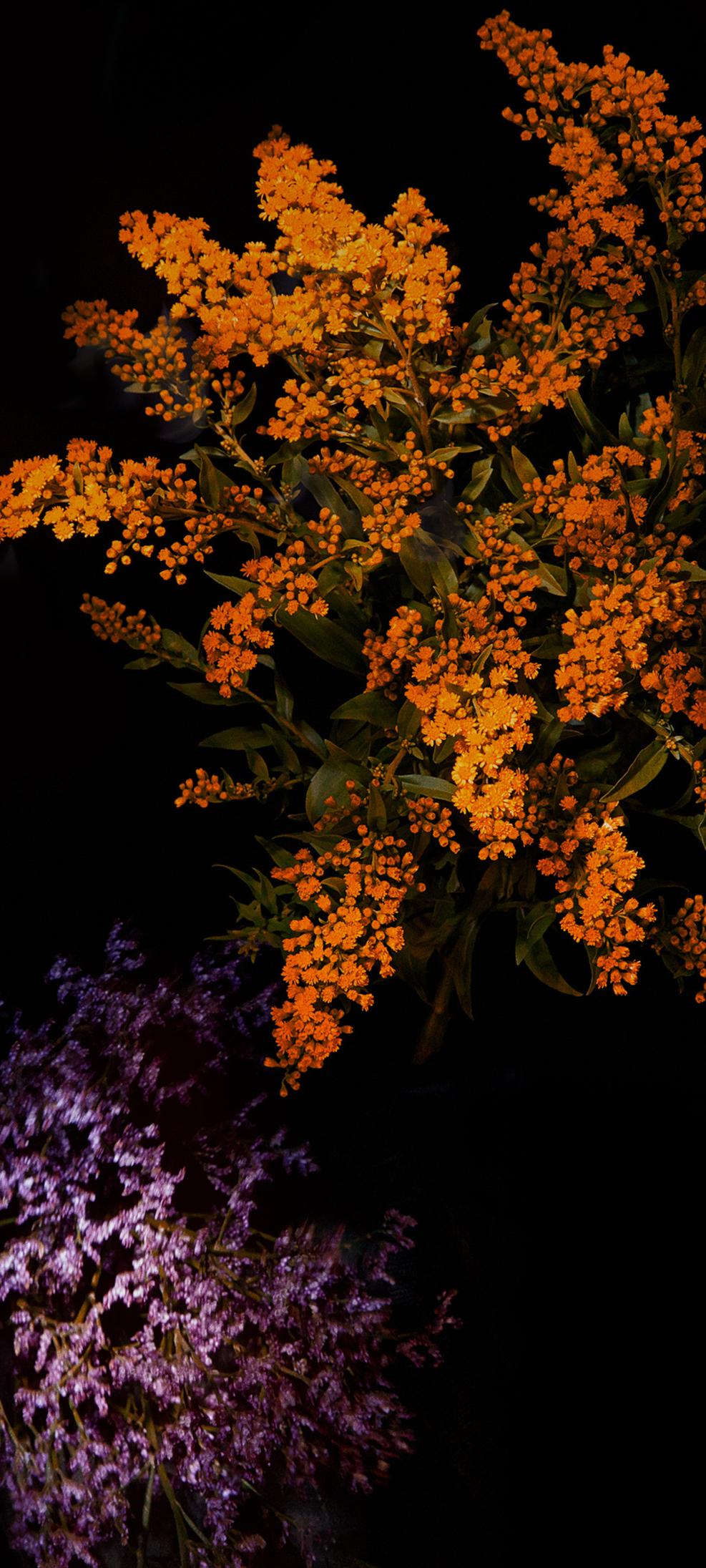 方便整理桌面图标的壁纸,不影响电脑性能的动态壁纸