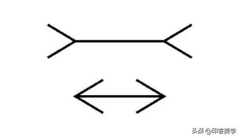 静图变动图视觉错觉,静图会动