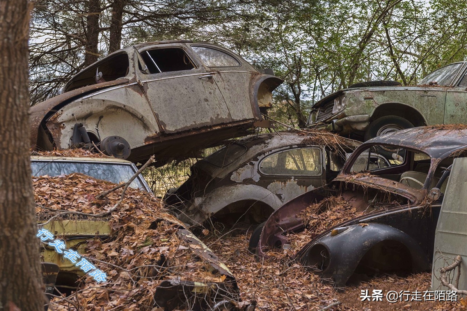 最值钱的废品,最值钱的废品回收