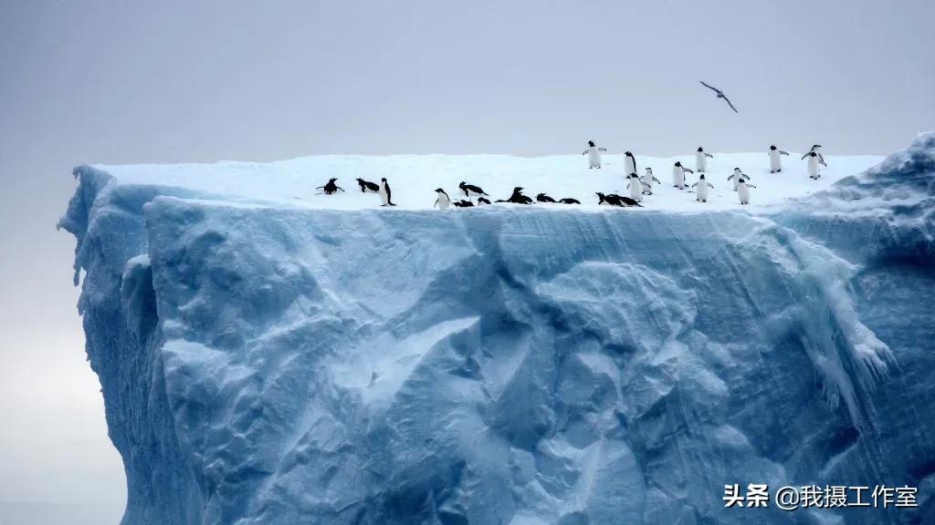 第16届国际摄影艺术展获奖作品,第29届全国摄影艺术展览作品集