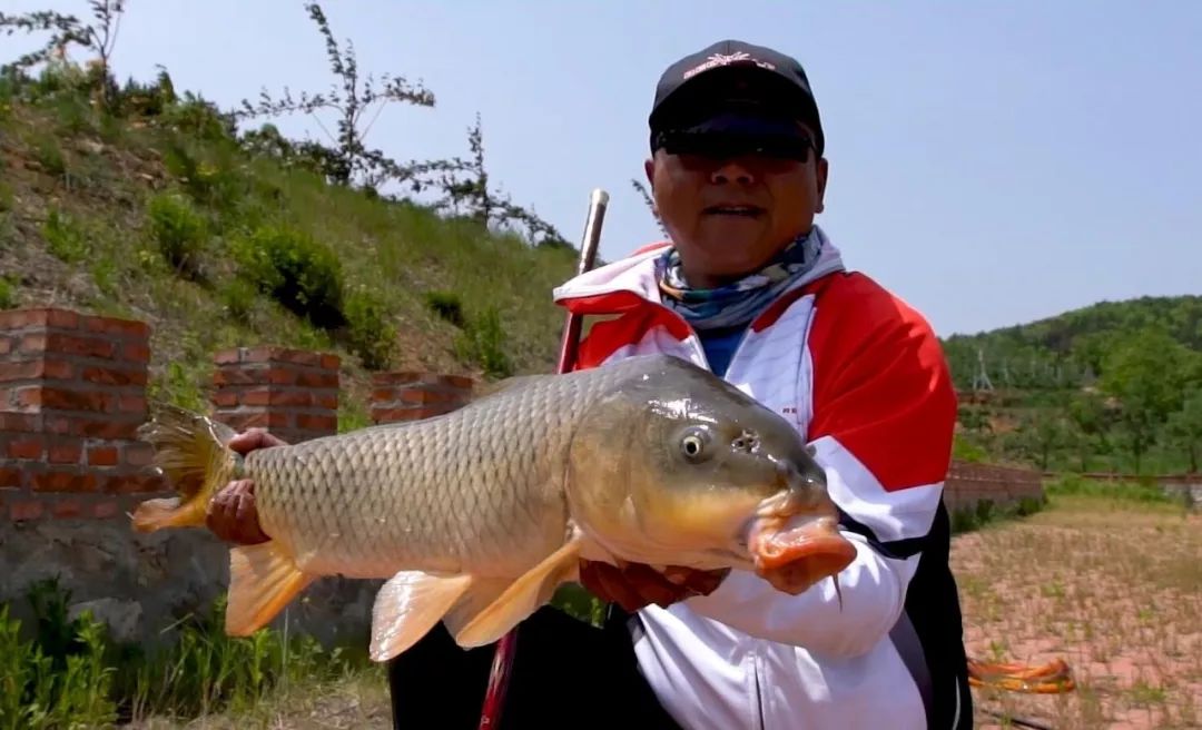 钓获超大鲤鱼,红狼亚洲鲤鱼竿钓重测评