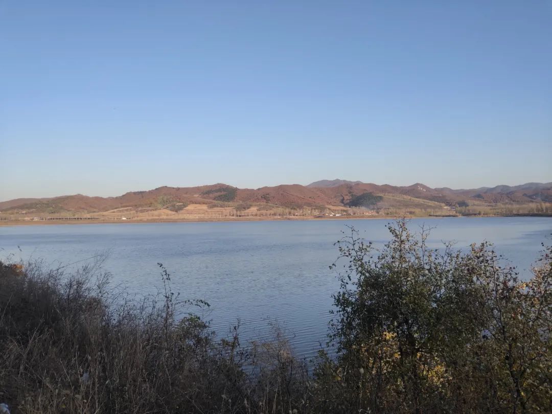 早安营口2019年5月16日,早安营口最新版