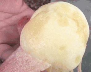 应季水果才能吃得更健康更安全,新鲜应季水果多种吃法