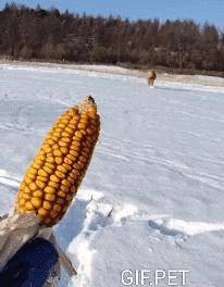 教你如何快速打开男友手机密码,如何解锁男友手机密码