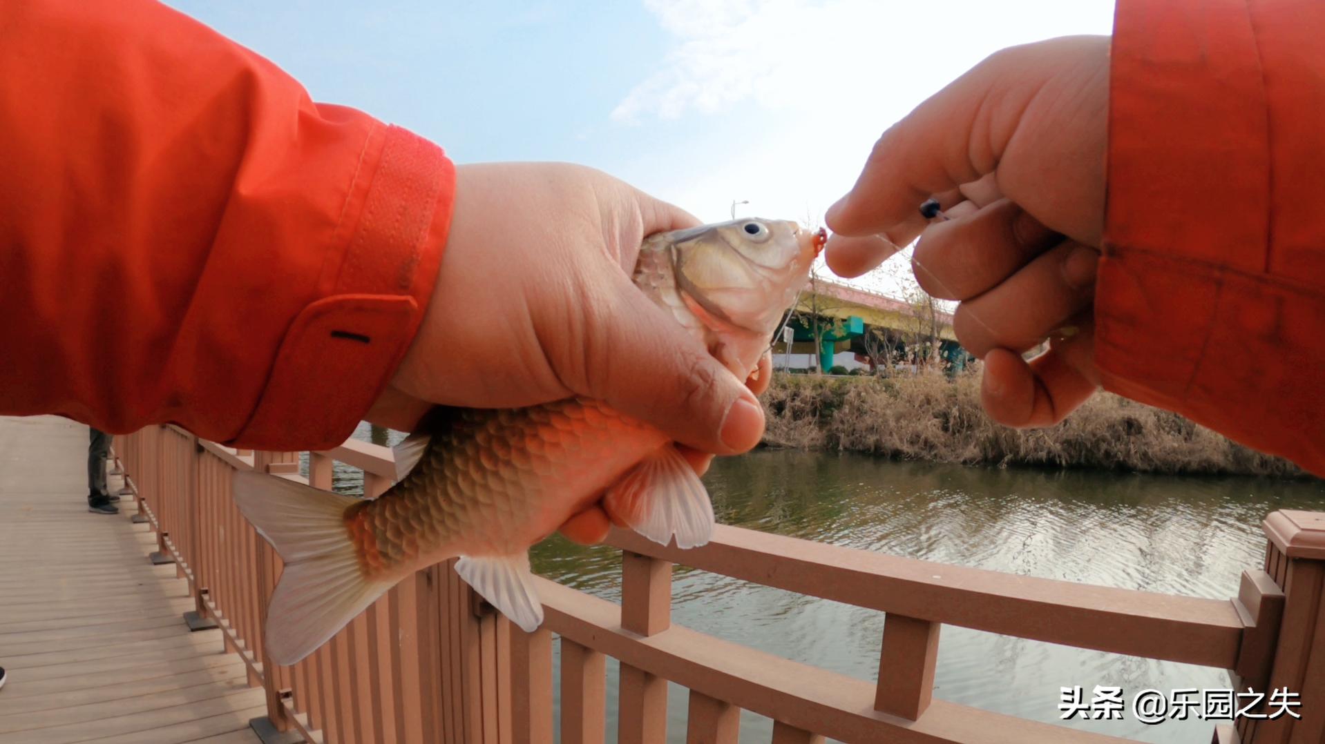 冬钓鲫鱼的气温及水深,冬钓鲫鱼低气温0度怎么找钓点