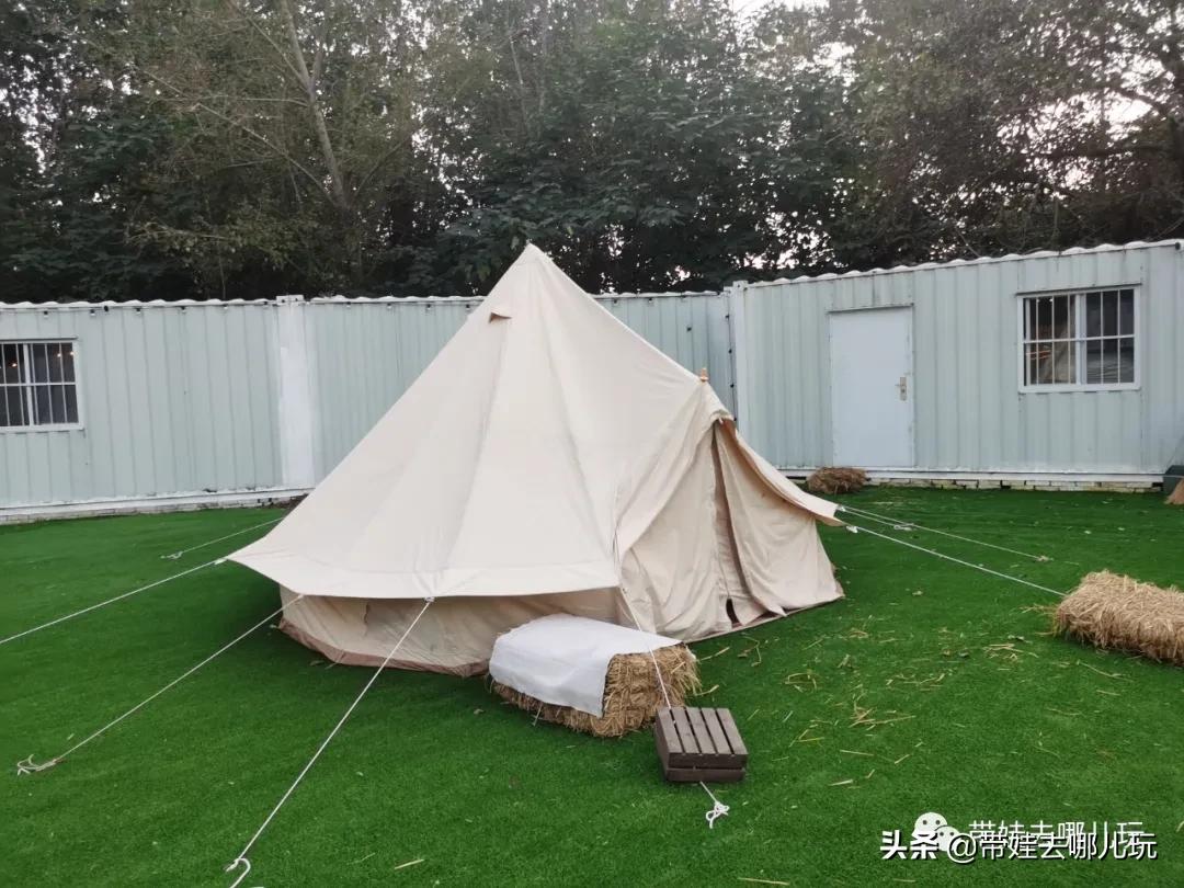 北京五环内新开萌宠乐园,除了喂动物,还能玩大滑梯、免费享帐篷
