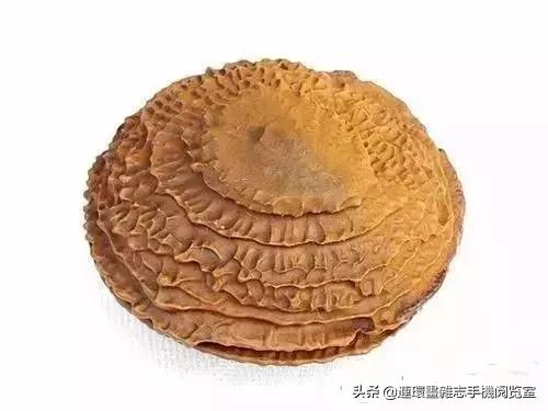 中国十大奇石之首,最全的中华奇石欣赏