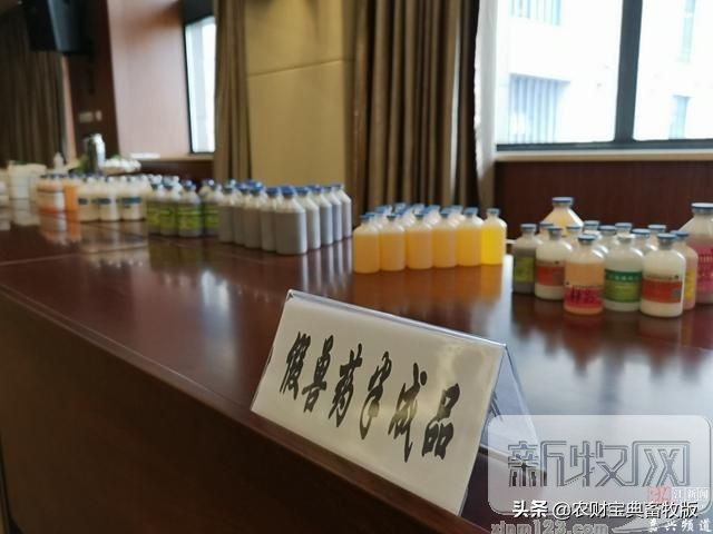 宠物店买宠物猪被骗,宠物店卖药品被查