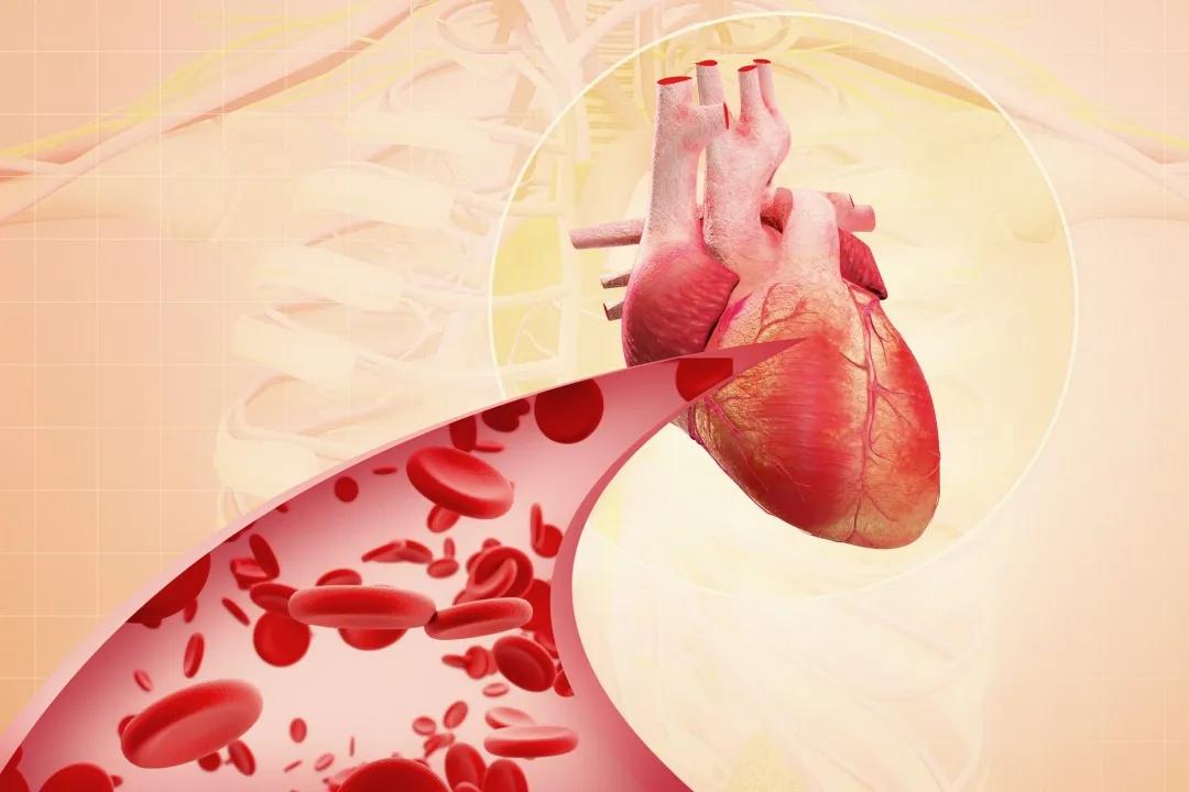 最凶险的疾病主动脉夹层,主动脉夹层目前最危险的疾病