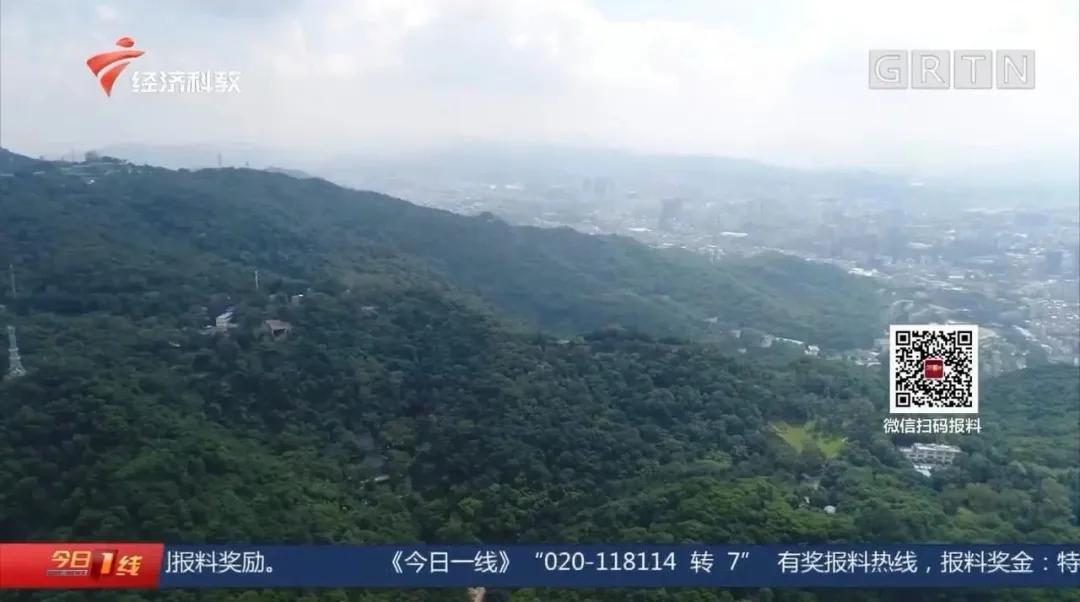 两名“驴友”迷失深山被救，专家：深山迷路时手机上这个软件很管用！