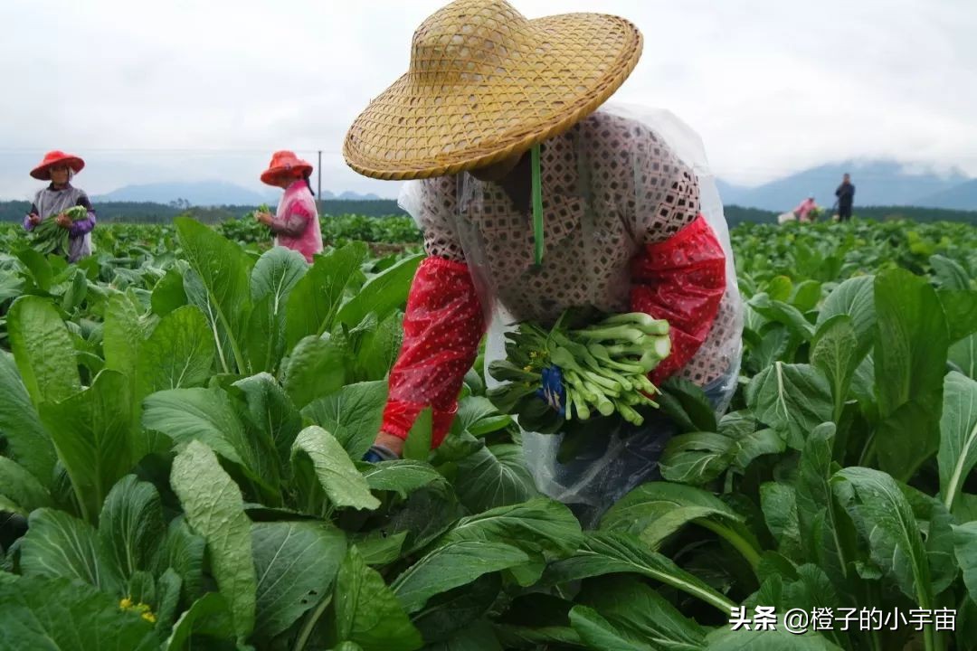 便宜到你怀疑人生的零食店,贵得能让你怀疑人生的菜
