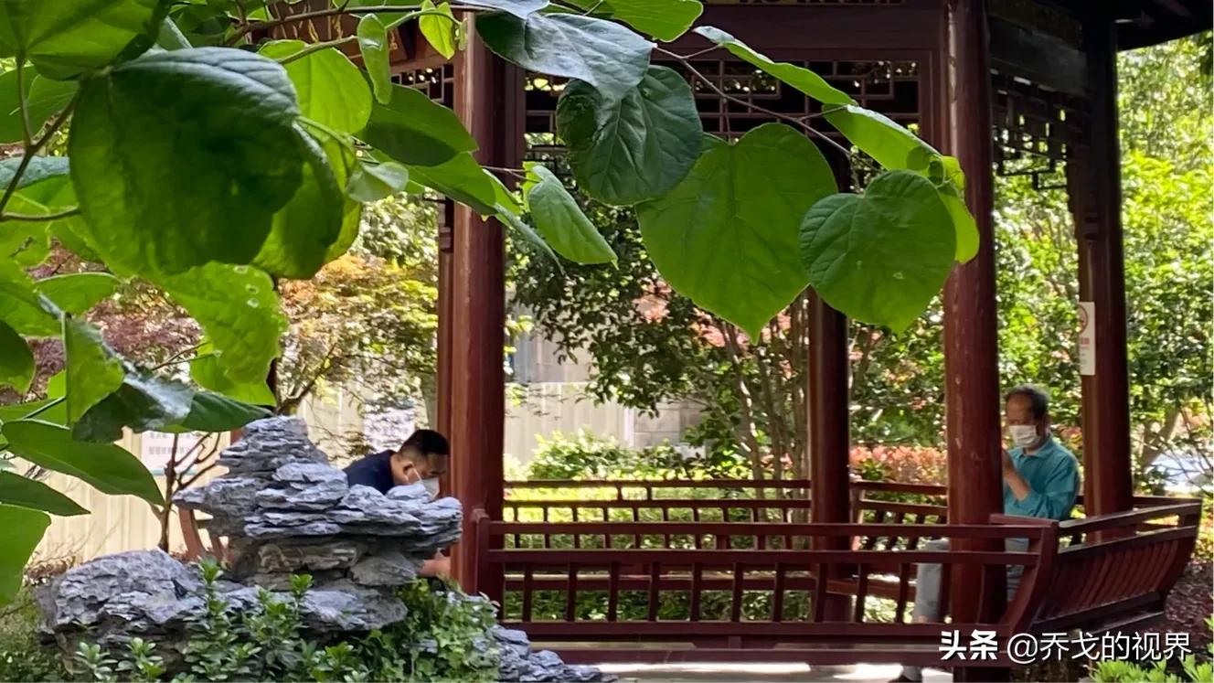 兰山区利群医院,织金利群医院