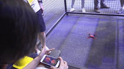 神造物用了7天，我在造物节逛了2天