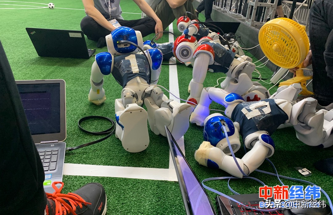 2024机器人世界杯,机器人世界杯中国