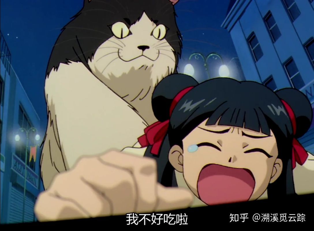 有哪些容易被认错的动物,容易被欺负的动物有哪些